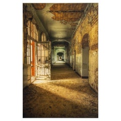 Raymond Ciborowski "As We Decay" Chromogenic Print