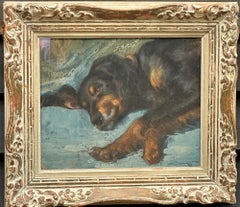 Porträt eines liegenden Irish Setters oder Spaniels aus der Mitte des Jahrhunderts