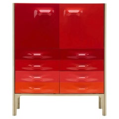 Retro Raymond Loewy, DF 2000 Orange Cabinet 