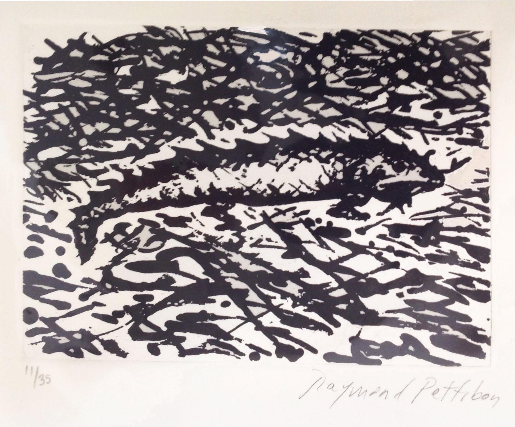 Iguana - Print by Raymond Pettibon