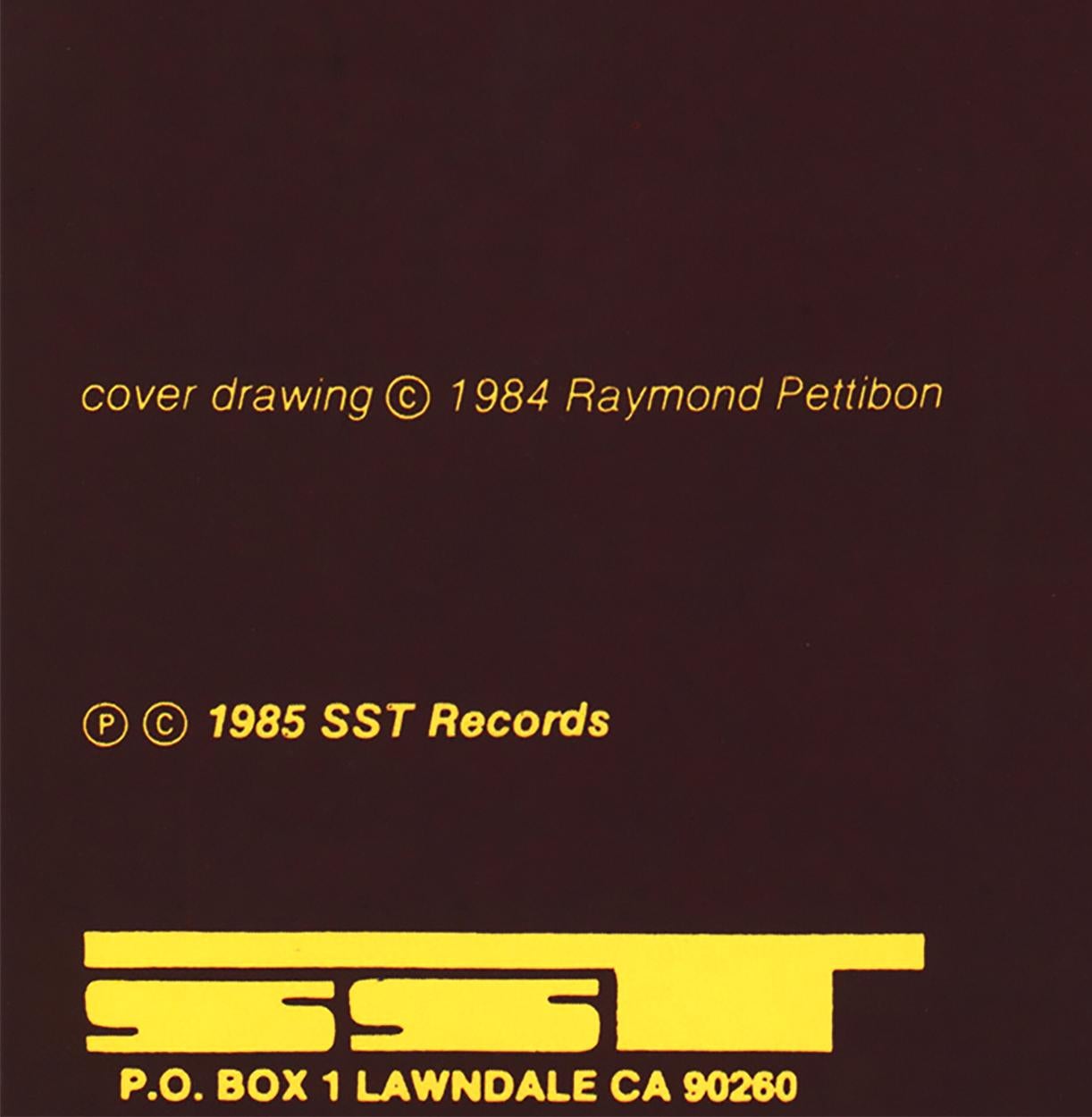 Raro set di 4 copertine originali di dischi di Raymond Pettibon (bandiera nera di Pettibon) in vendita 8