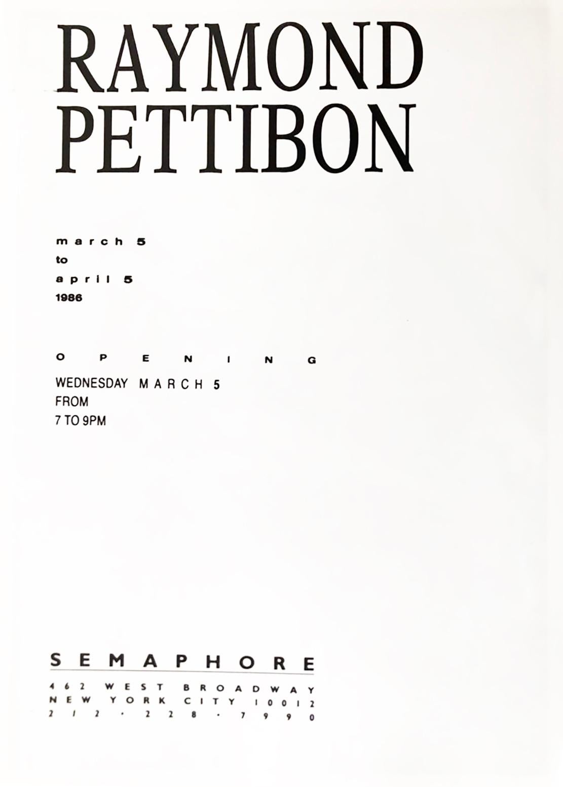 raymond pettibon for sale