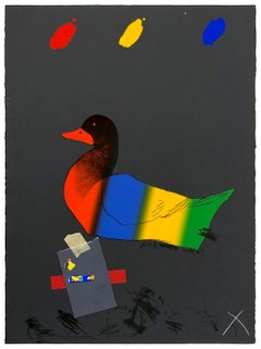 Anatra fuori dall'acqua