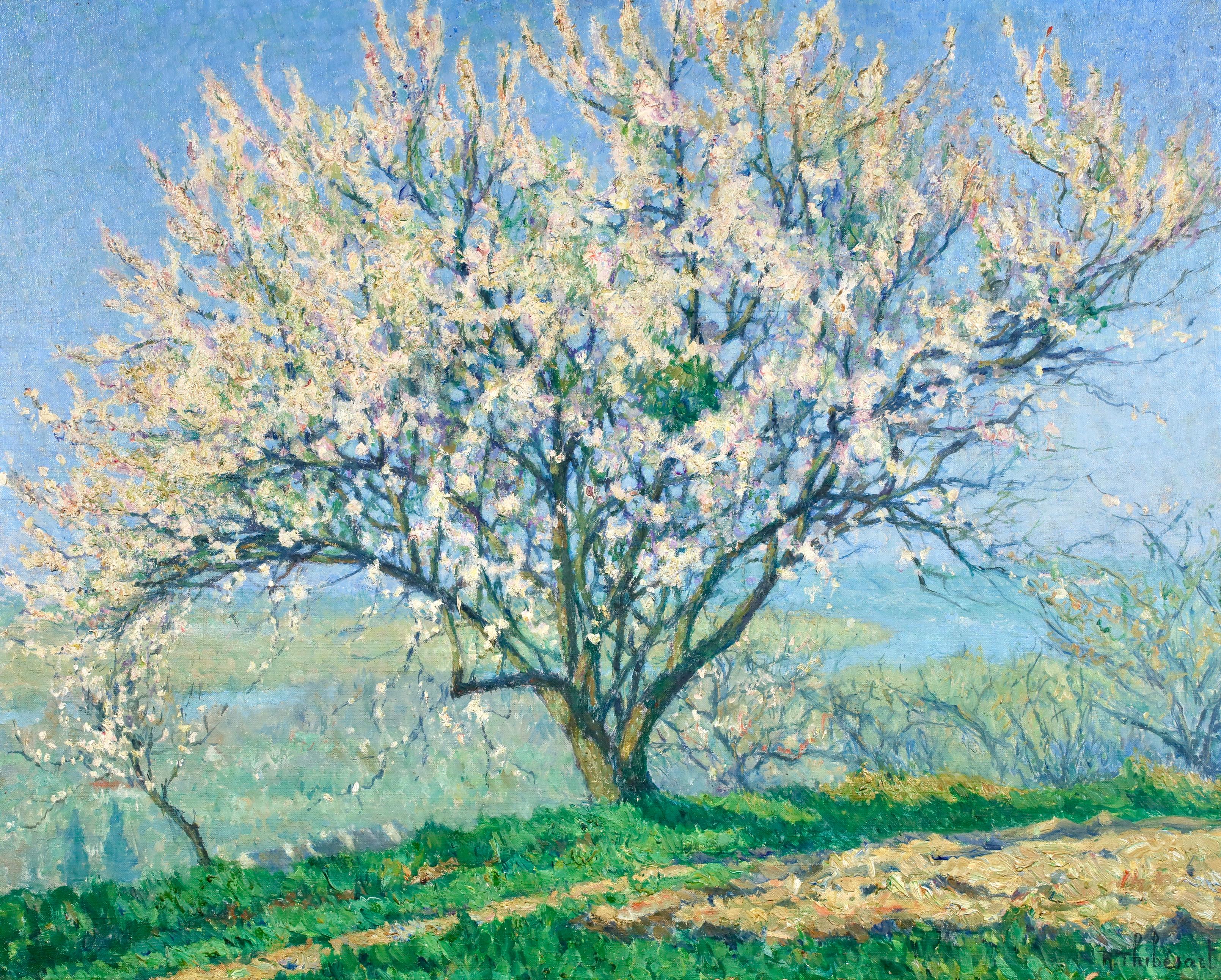 Amandier - Peinture à l'huile de Raymond Thibesart, paysage post-impressionniste 1