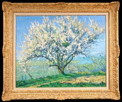 Amandier - Post Impressionist Landscape Oil Painting by Raymond Thibesart