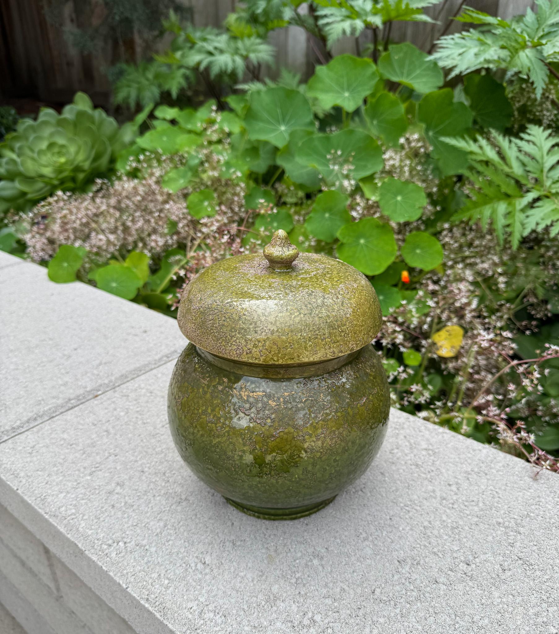 Barattolo per zenzero con coperchio in ceramica verde e oro Raymor, Italia, 1955 circa.