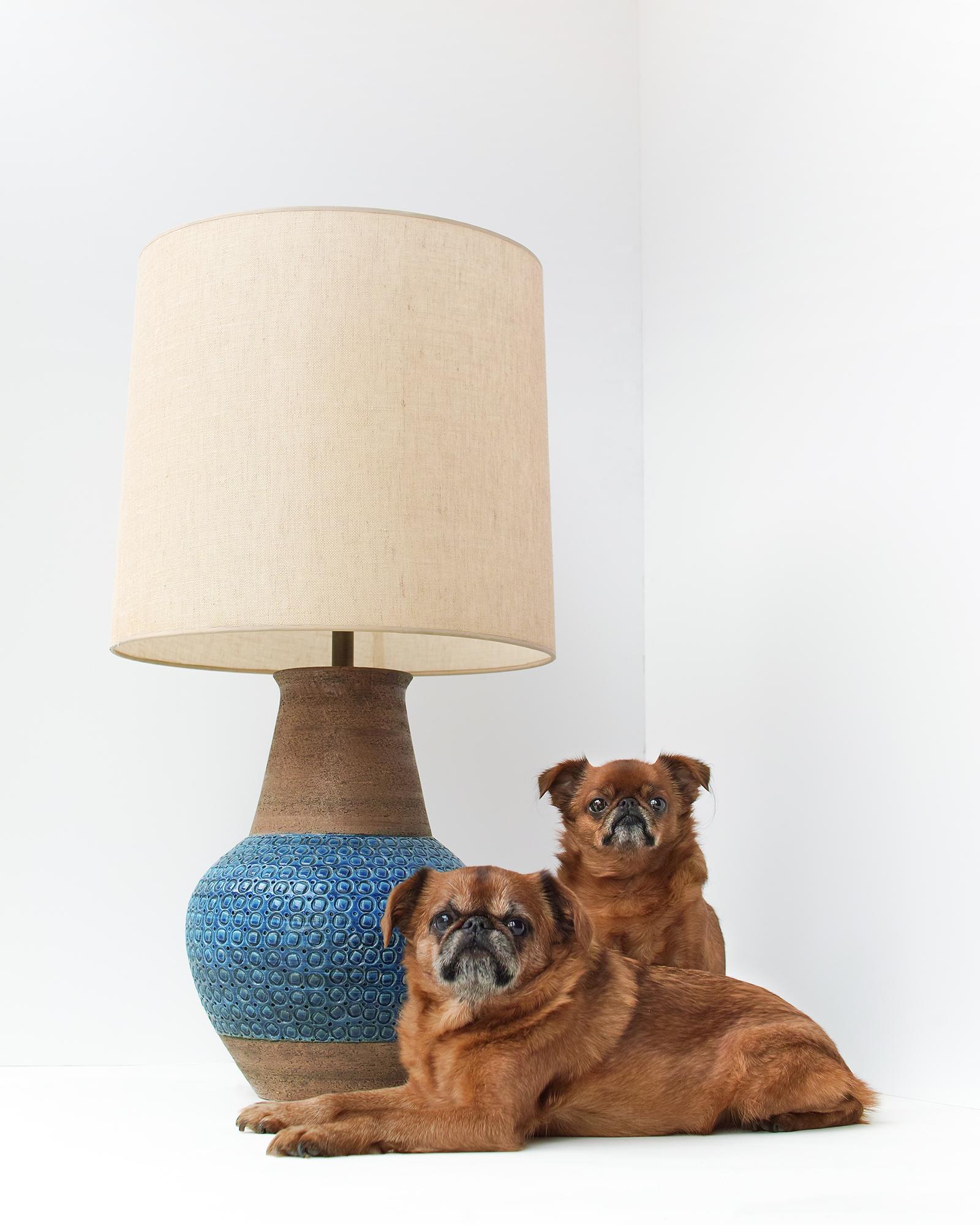 We can bring this item to you curbside within New York City if you are interested in seeing it in person. Inquiries welcome.

Lovely & large earthenware lamp in brown and Rimini blue with original shade. In good vintage condition. Signed.

The