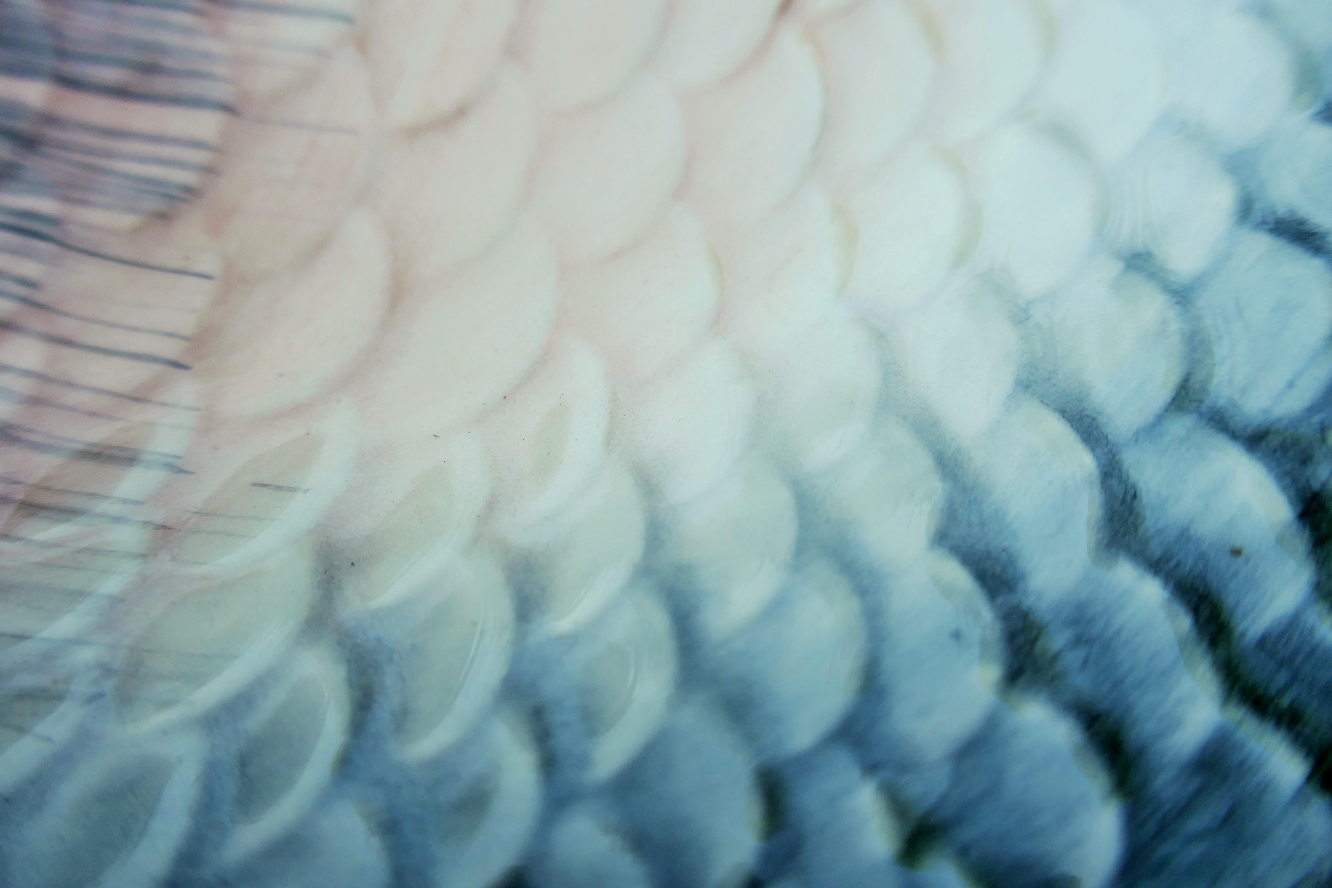 RB Blanche - Service de table six pièces avec louche en forme de poisson en vente 9