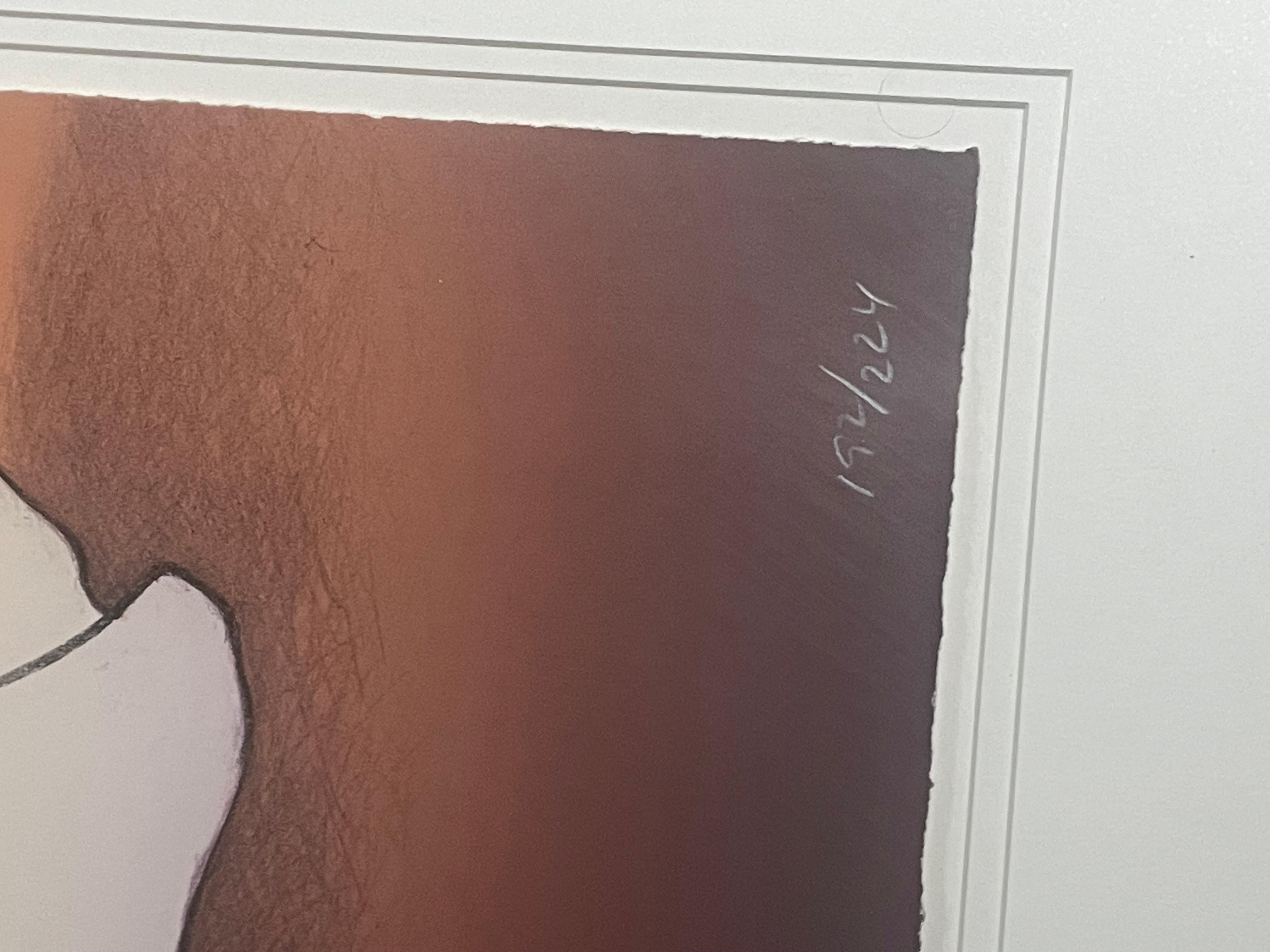 This is an rc Gorman signed and numbered lithograph . In good condition. Measures 50x42