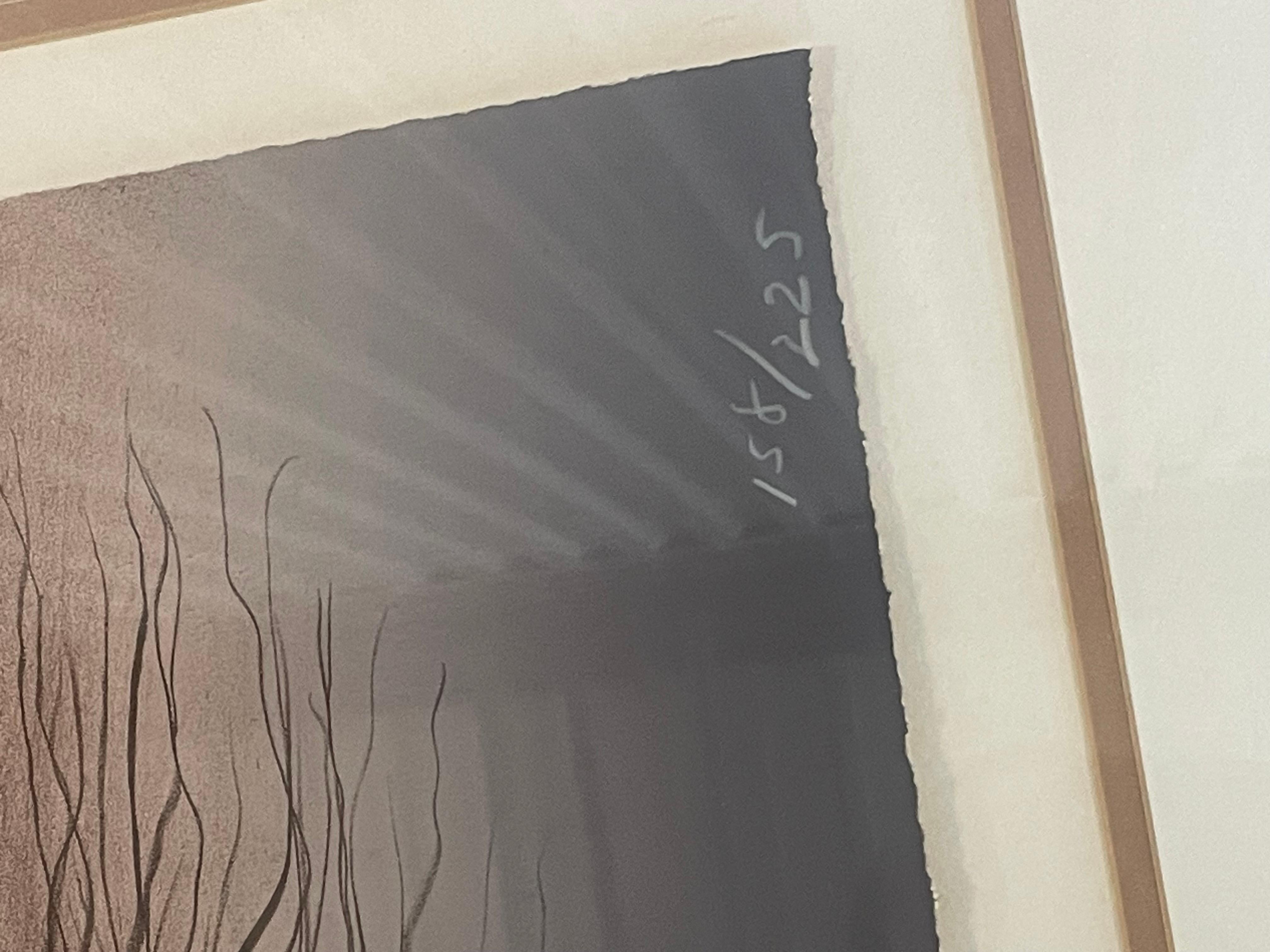 Rc Gorman lithograph “ Woman From 3rd Mesa” signed and numbered. In good condition measures 37x48