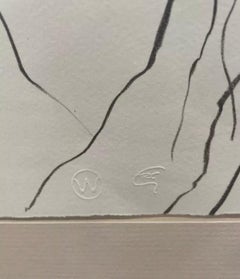 “Santa Fe Woman”