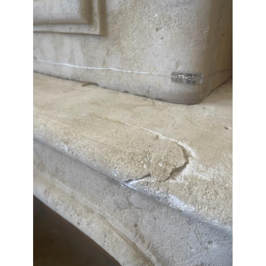 Re-Edition French Limestone Fireplace with Trumeau For Sale 3