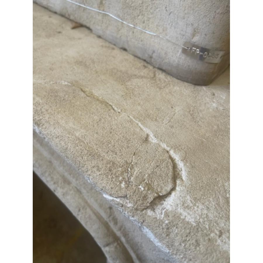 Re-Edition French Limestone Fireplace with Trumeau For Sale 4