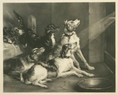 Ready For A Start, Dog Engraving