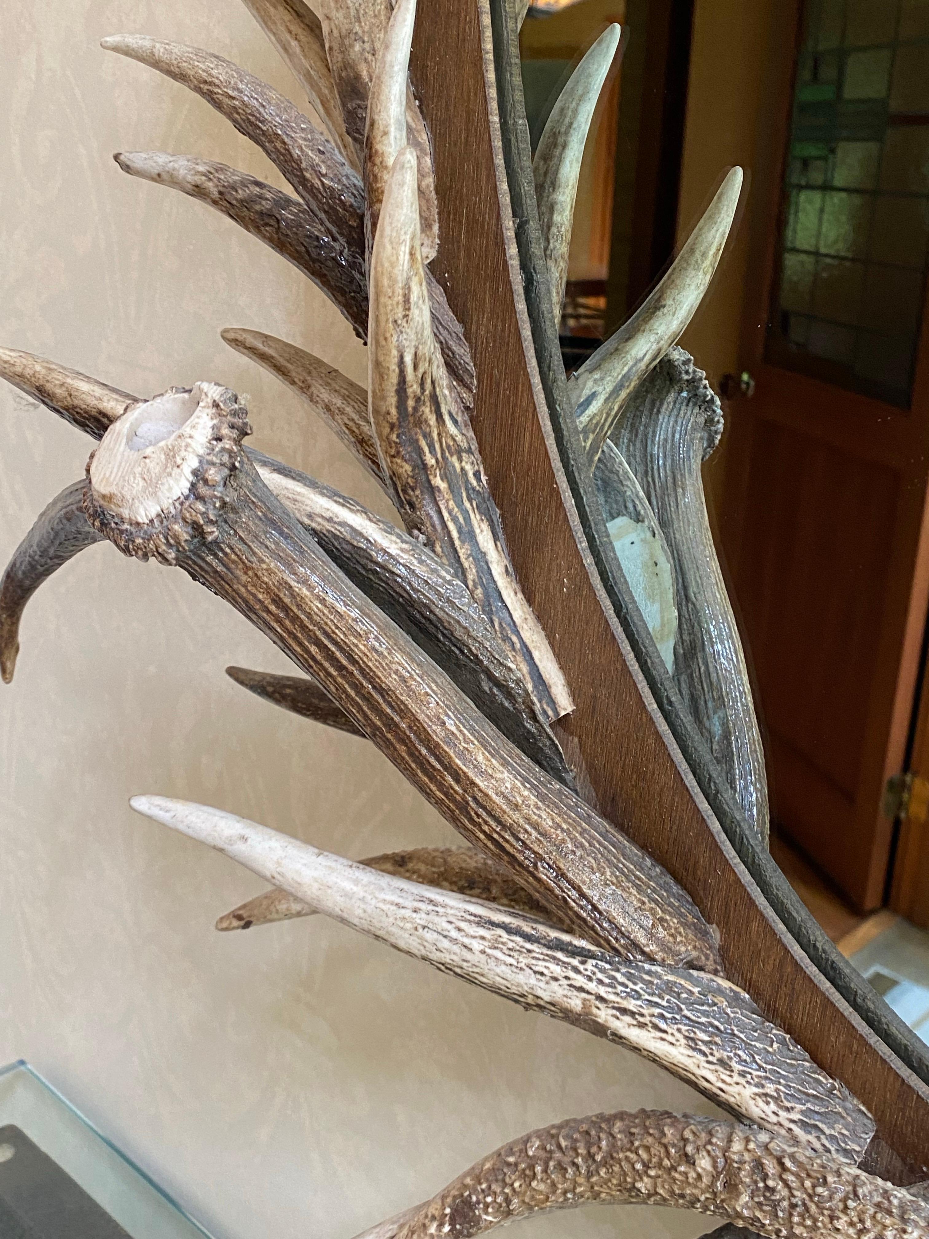 Real Antler Mirror in Oval Shape, Late 20th Century For Sale 8