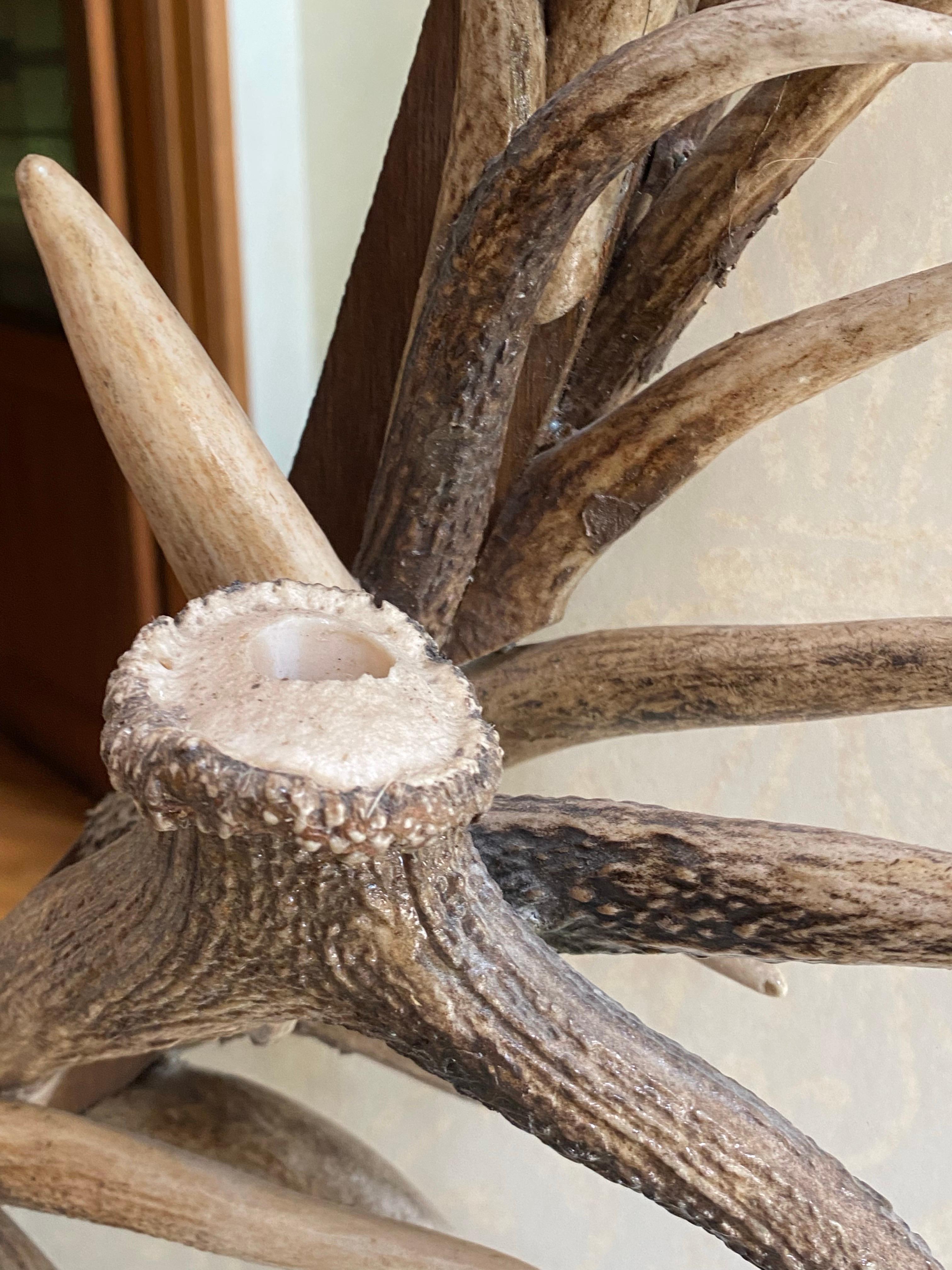 Real Antler Mirror in Oval Shape, Late 20th Century For Sale 10