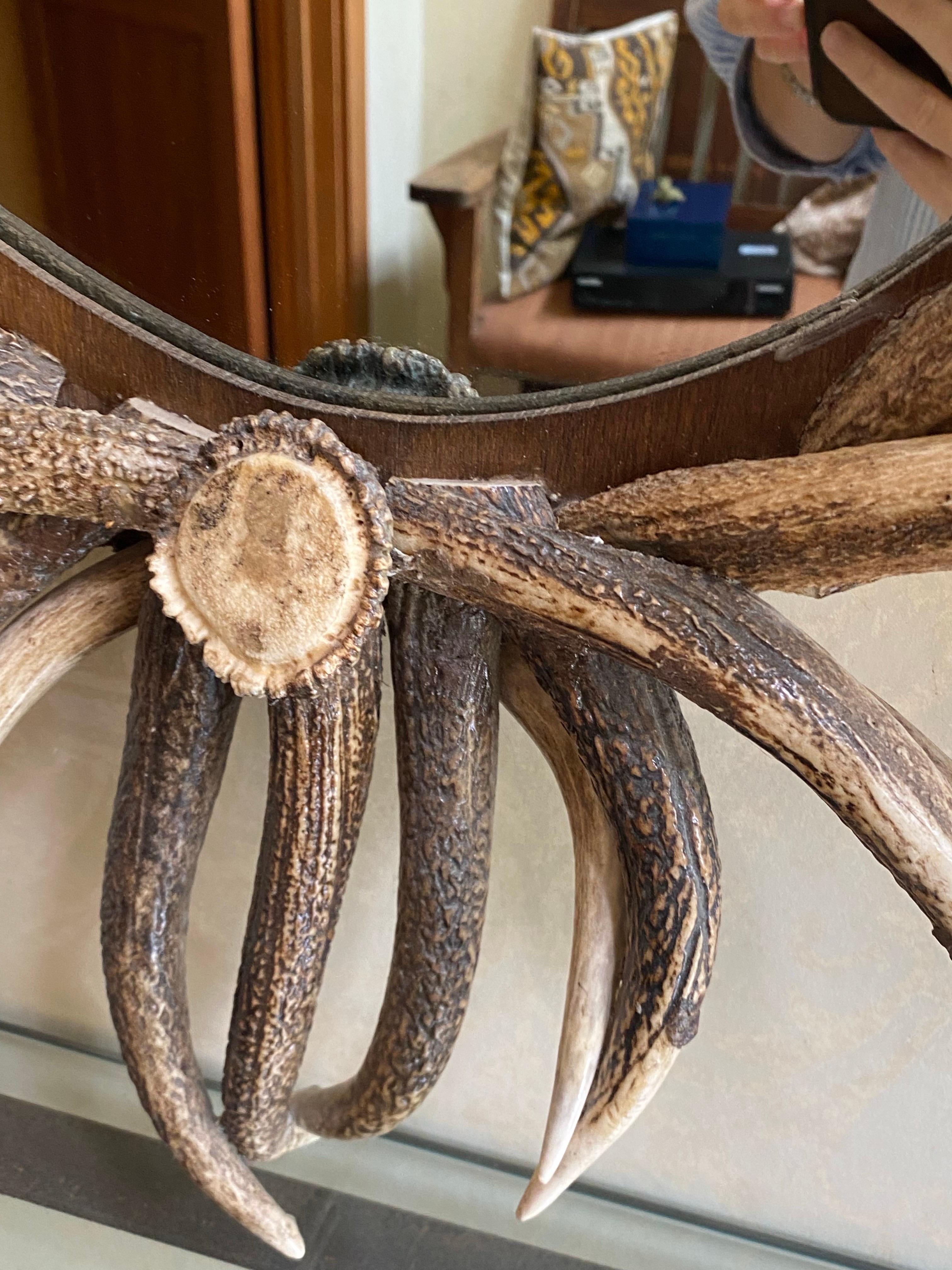 Real Antler Mirror in Oval Shape, Late 20th Century For Sale 4