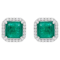 Echte sambische Smaragd-Edelstein-Ohrringe SI/H Diamant 14 Karat Weißgold-Schmuck