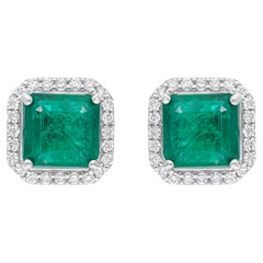 Echte sambische Smaragd-Edelstein-Ohrringe SI/H Diamant 18 Karat Weißgold-Schmuck