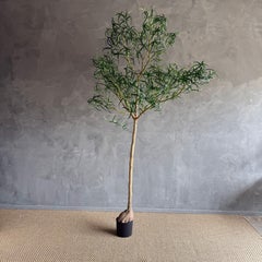 Realistic Bottle Tree 8′
