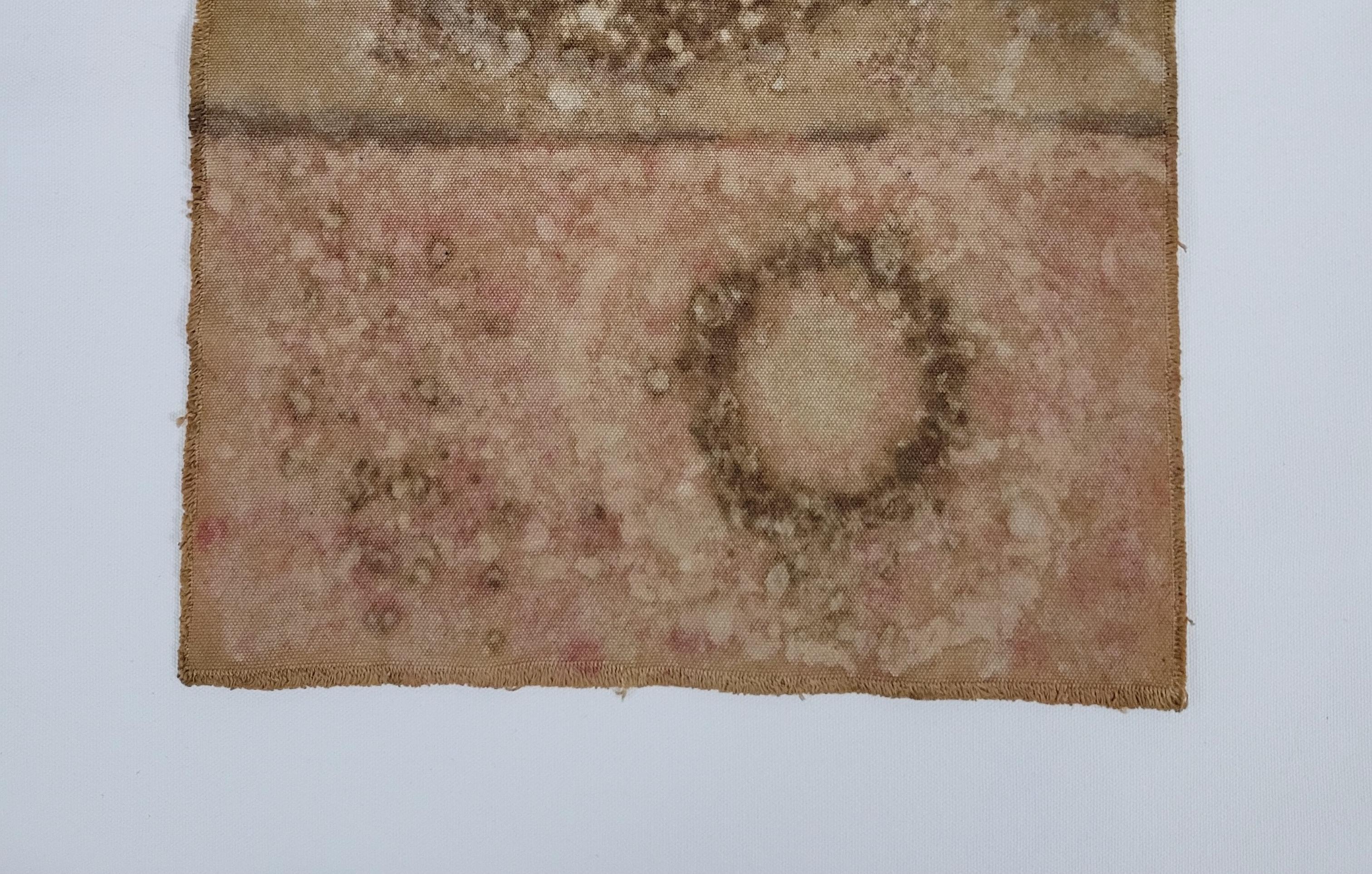 Turkish REALMS (11) – Plant-Dyed Botanical Art on Cotton Canvas For Sale