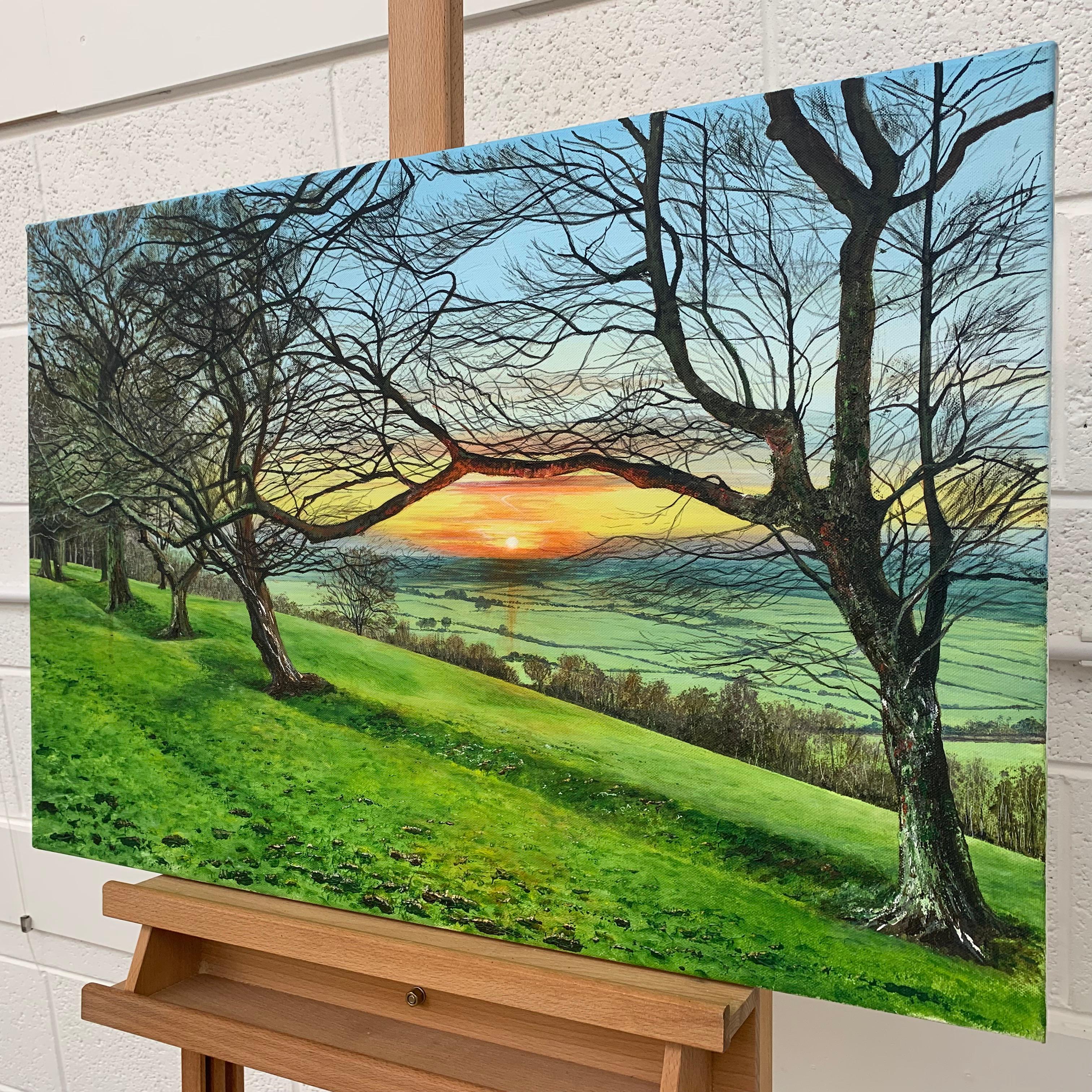 Landscape Painting of the English Countryside by British Contemporary Artist Rebecca Ann Wilmer. This particular scene is of a dramatic woodland sunset in the Ribble Valley. Born in Lancashire in 1979, Rebecca went through her school-life painting