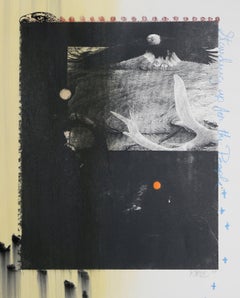 Standing up for the people II, Conceptual Colored Screenprint by Rebecca Baird