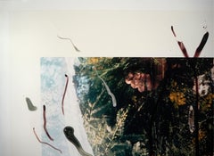 Rebecca Horn, Untitled, lithograph of hand painted photograph