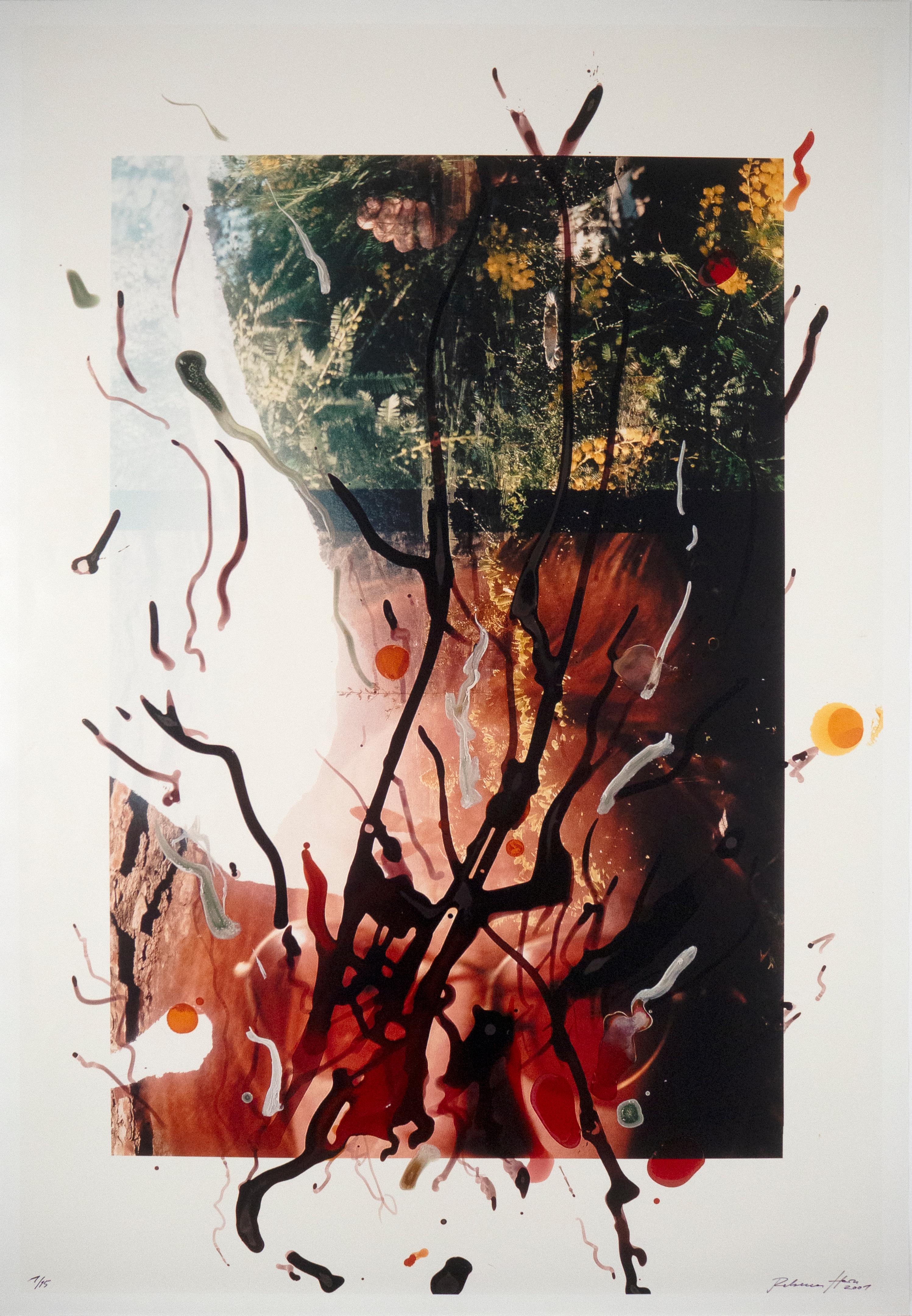 Rebecca Horn, Untitled, lithograph of hand painted photograph