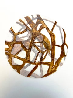 Le radici della materia 2