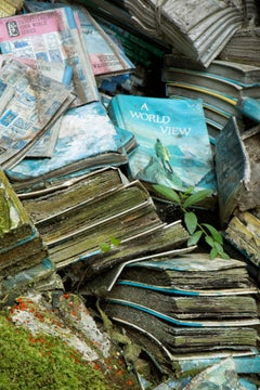 "Book Beauty II", Contemporáneo, Escuela, Libros, Verde, Azul, Fotografía en color