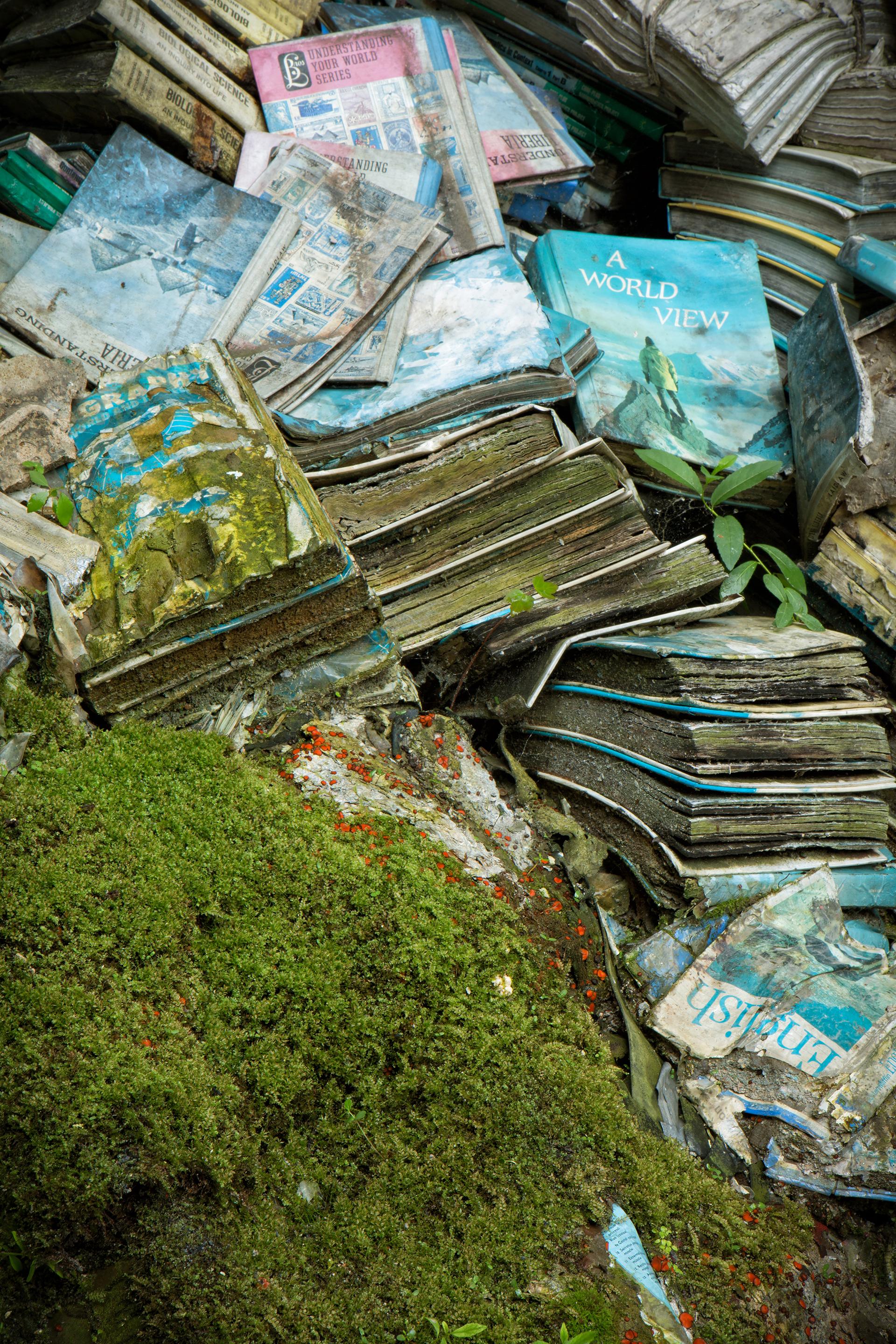 "Book Beauty 2", color photograph, abandoned school, metal print, green, blue