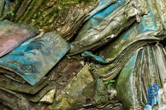"Book Beauty IV", Contemporary, Books, Plants, Green, Blue, Color Photograph