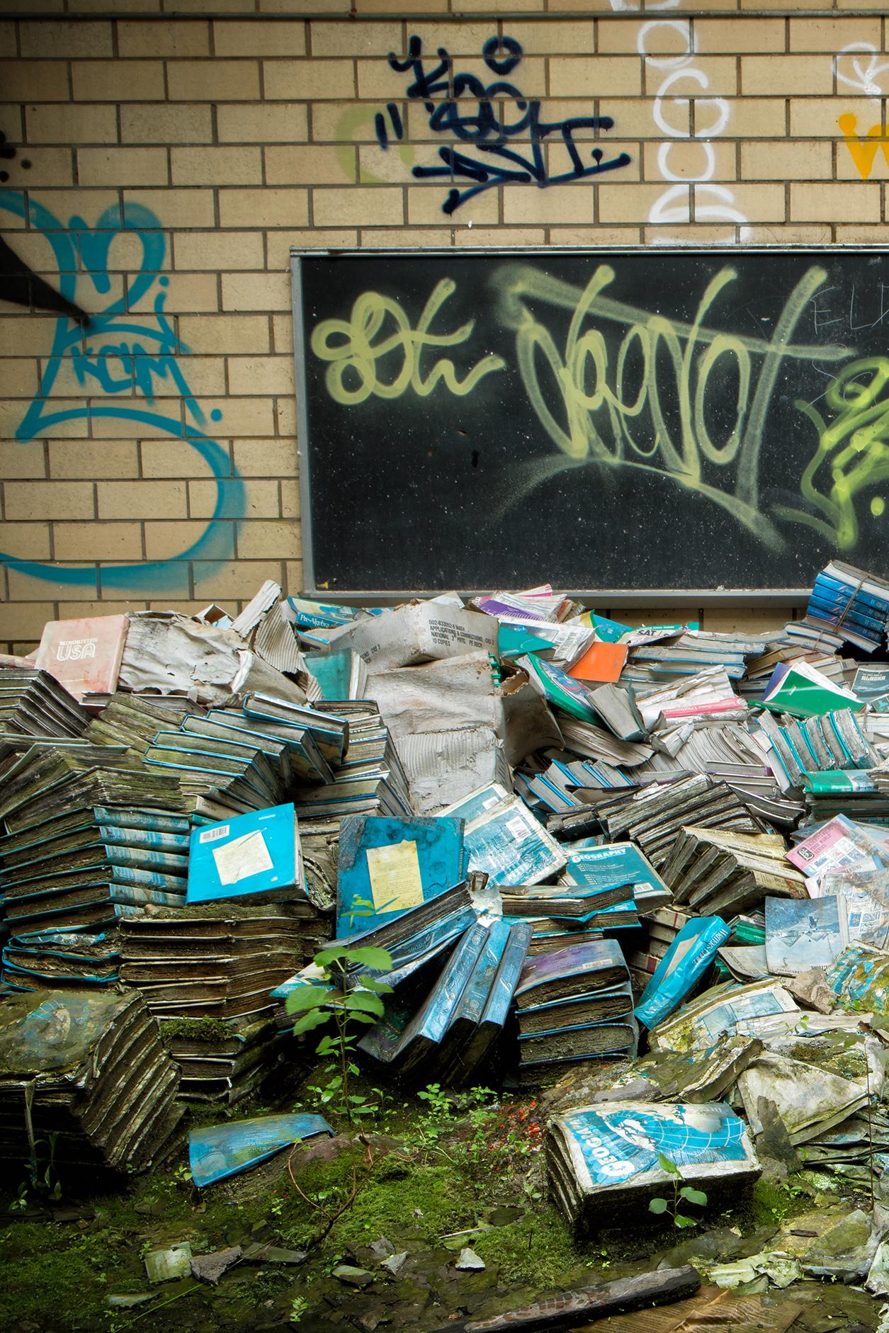 « Book Beauty 5 », Rebecca Skinner, abandonné, imprimé métallique, vert, bleu 12x18 en vente 2