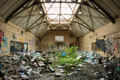 "Book Beauty VI", Contemporary, Abandoned School, Gym, Nature, Color Photograph