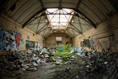 "Book Beauty 6", abandoned, school, gymnasium, nature, green, blue, photograph