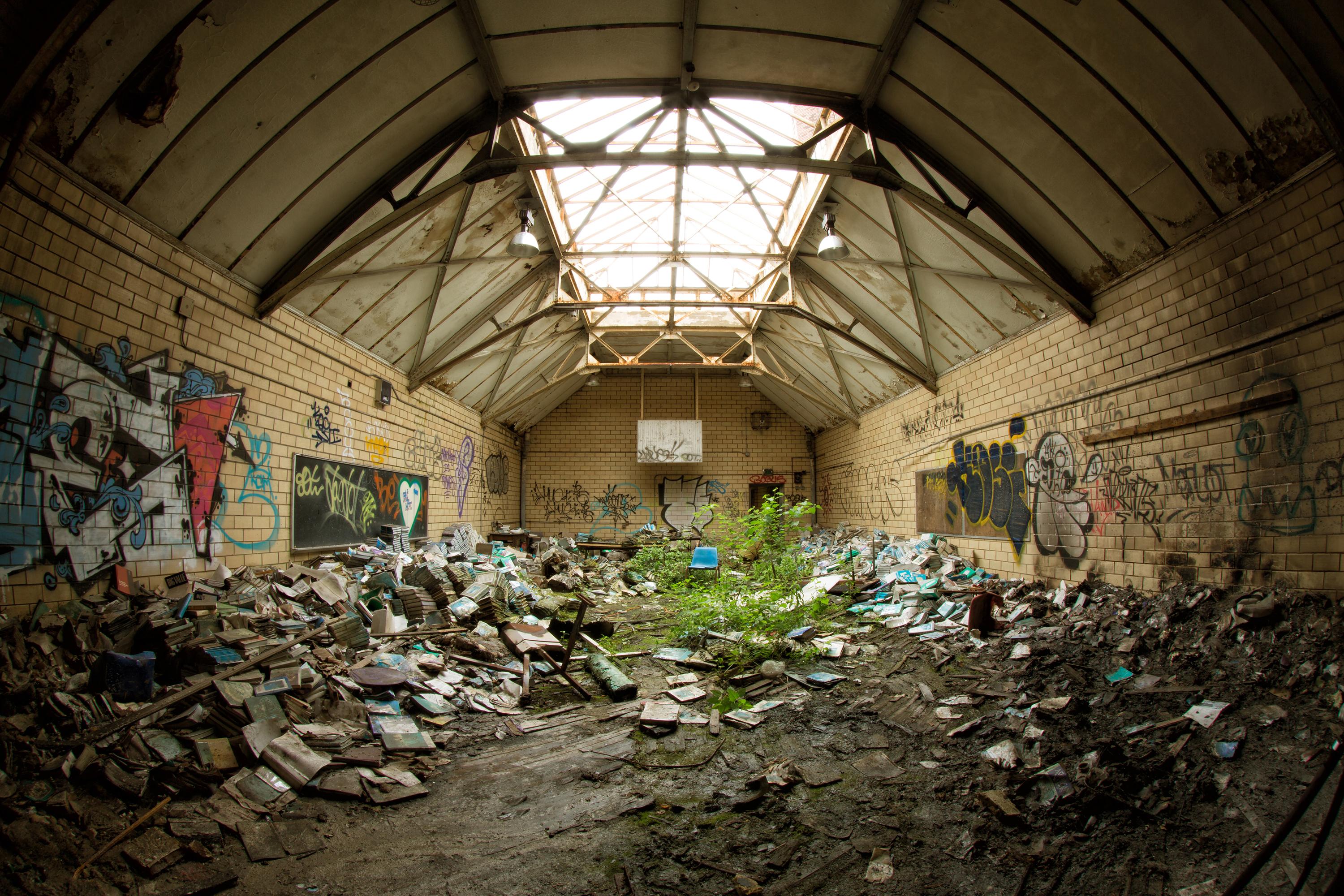 Rebecca Skinner Interior Print - "Book Beauty VI", Contemporary, Abandoned School, Gym, Nature, Color Photograph
