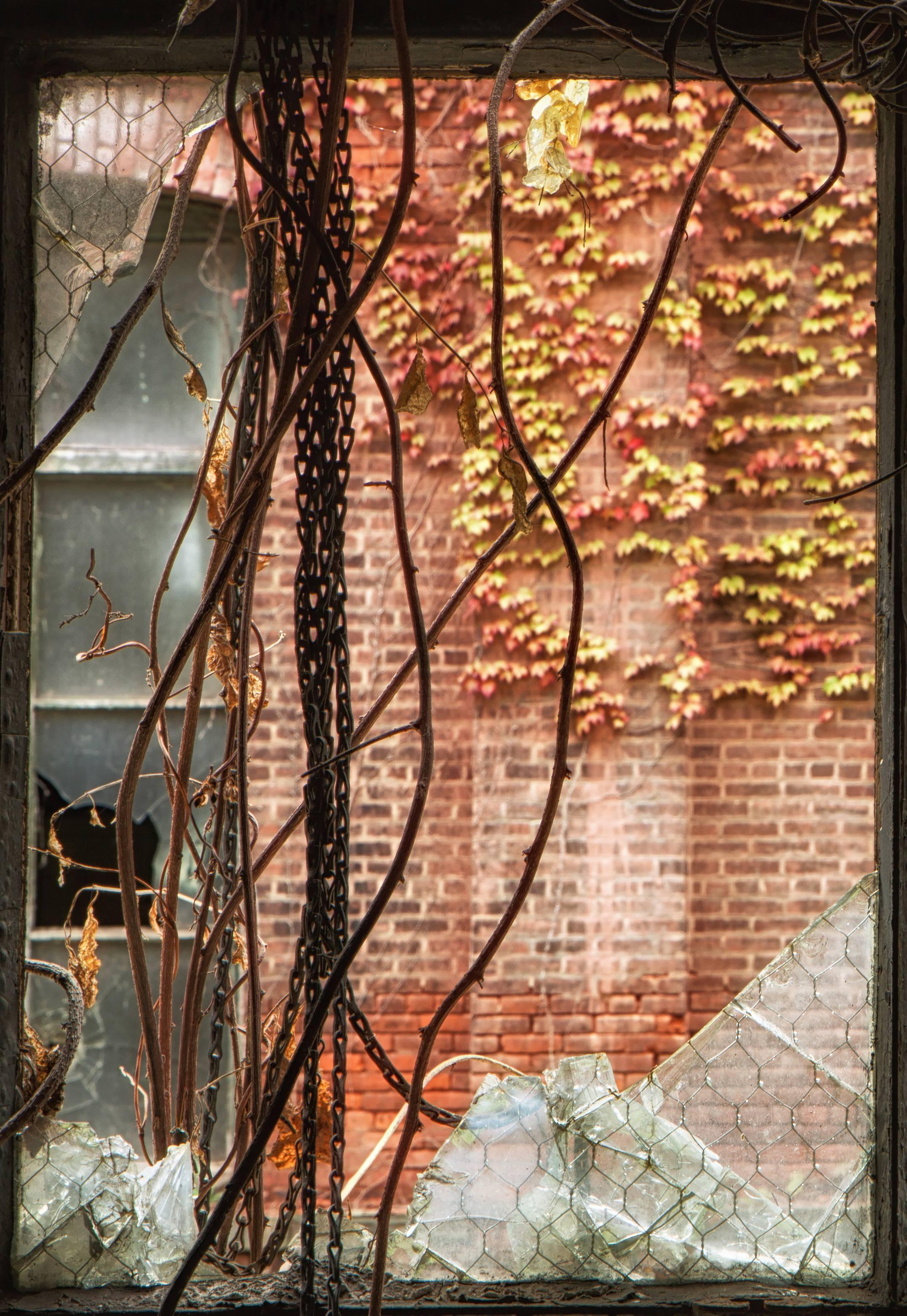 „Broken“, Farbfoto, Herbst, verlassen, Fabrik, Fenster, Industrie, Metalldruck – Photograph von Rebecca Skinner
