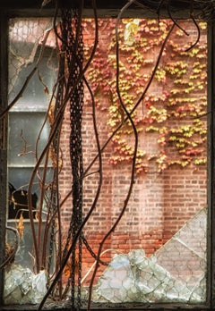 "Broken", Contemporary, Autumn, Factory Window, Industrial, Print, Color Photo