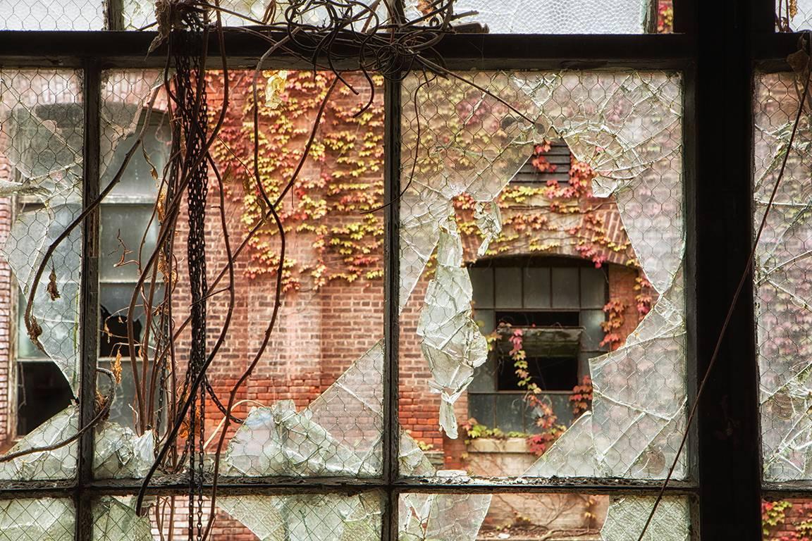 "Broken", color photo, autumn, abandoned, factory, window, industry, earth tones