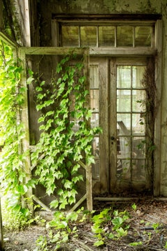 "Within", Zeitgenössisch, Natur, Grüne Reben, Türen, Farbfotografie, Druck