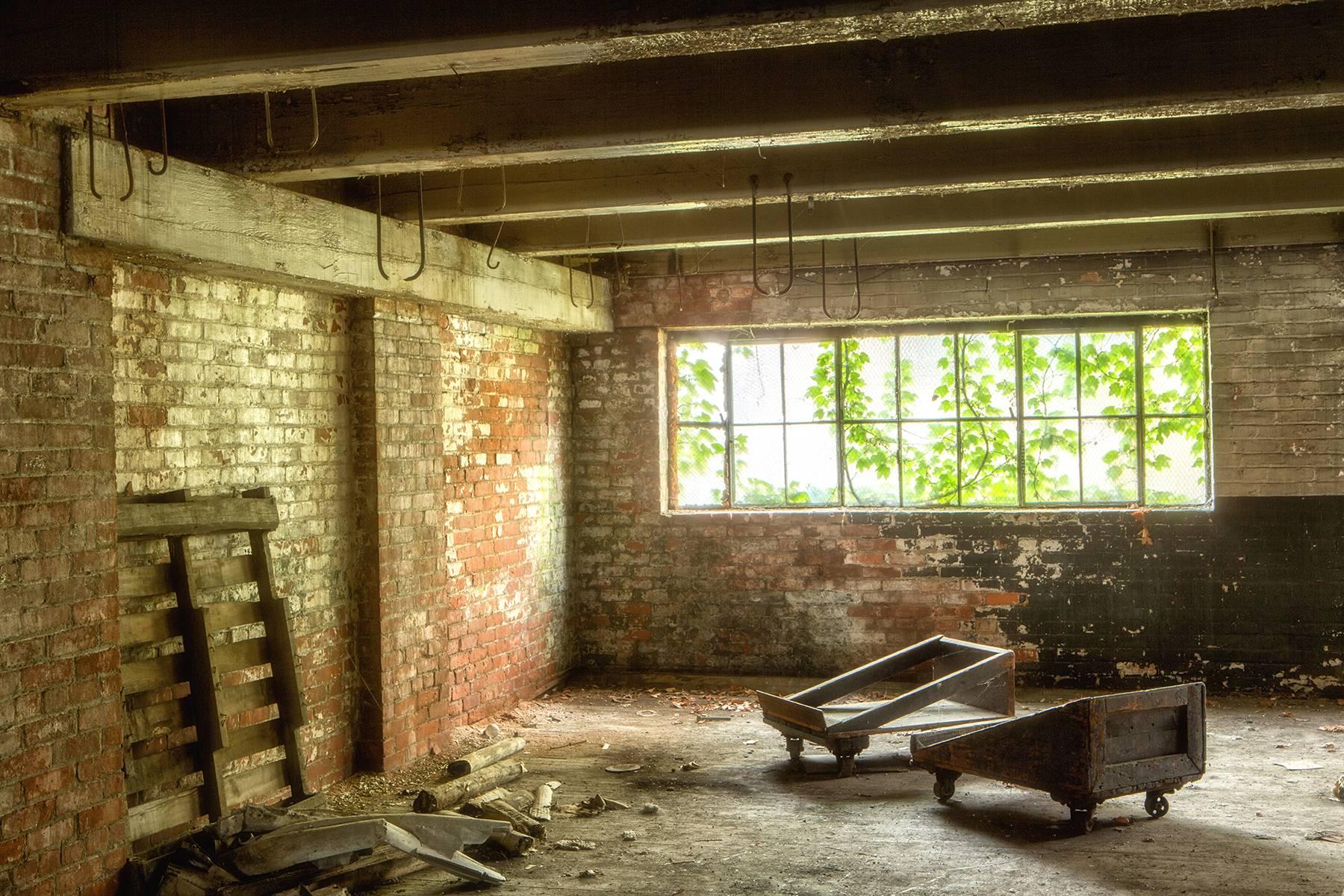 Rebecca Skinner Color Photograph - "Daydream", color photograph, abandoned, factory, industrial, metal print