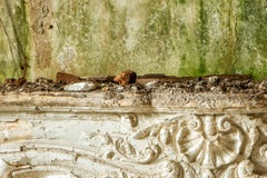 "disMantle", Contemporary, Architecture, Fireplace, Color Photograph, 2017