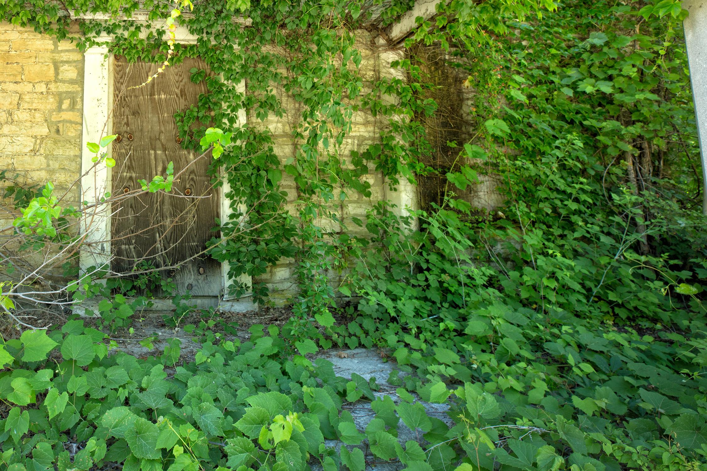 Rebecca Skinner’s “Duration” is a 24 x 36 inch color photograph. Green vines cover a weathered porch of an old home in this contemporary landscape. The frameless metal print has a satin finish and is infused directly into metal making it waterproof