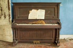 "Farmhouse Blues", Contemporary, Abandoned House, Piano, Color Photograph