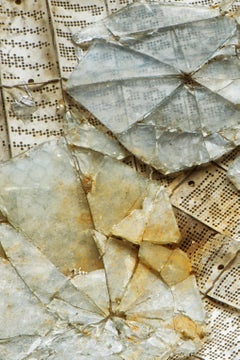 "Finished Business", Contemporary, Lace Patterns, Beige, Brown, Color Photograph