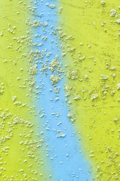 "Hippie", Abstract, Lime Green, Blue, Lichen, Metal Print, Color Photograph