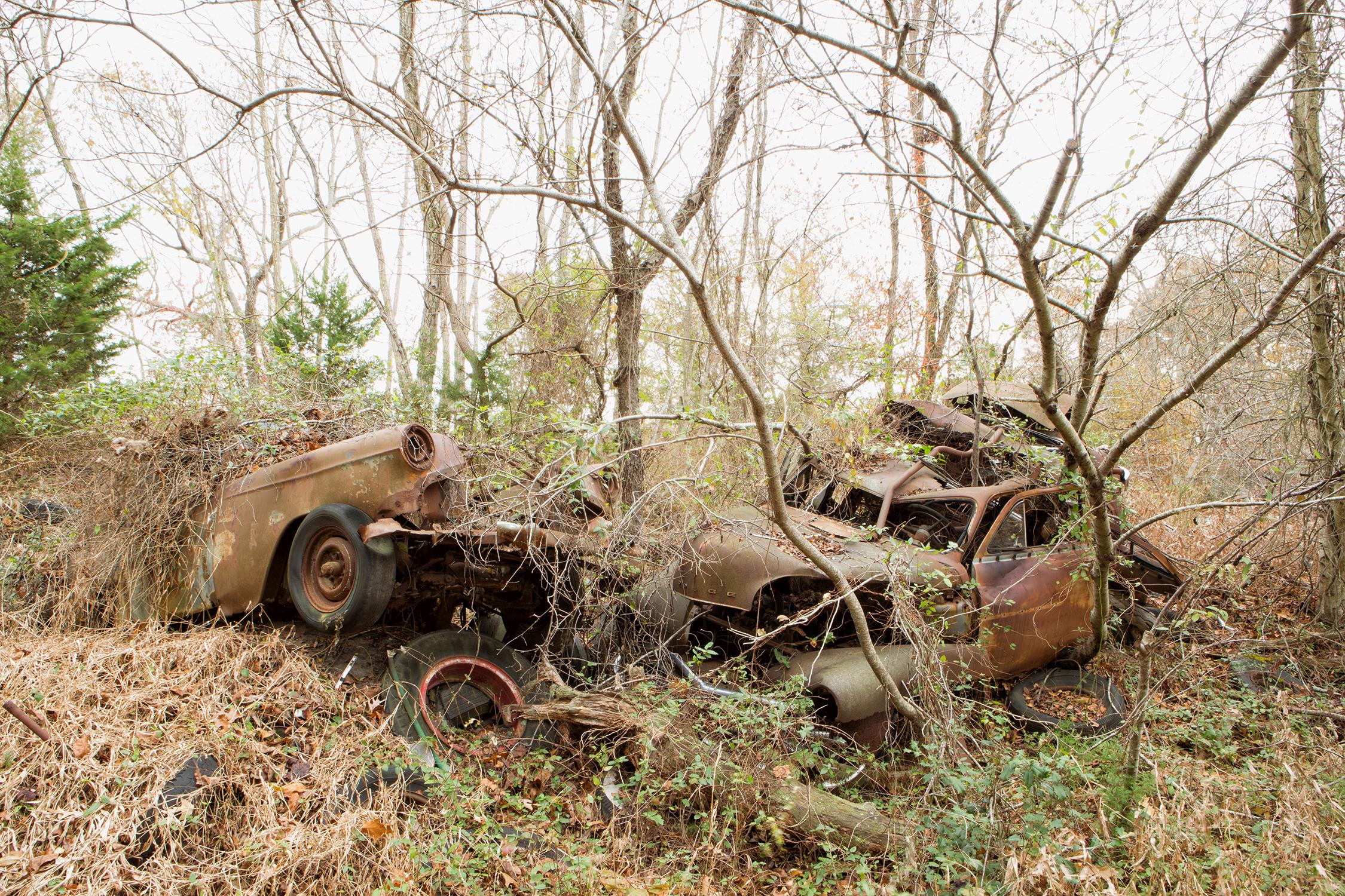 "In the Thick of It", Contemporary Landscape, Antique Cars, Color Photo, 2017