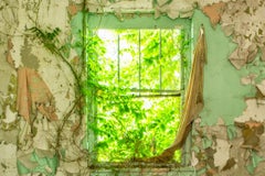 « Inward, Contemporary, Interior, Abandoned, Nature, Green, Photographie, 2017