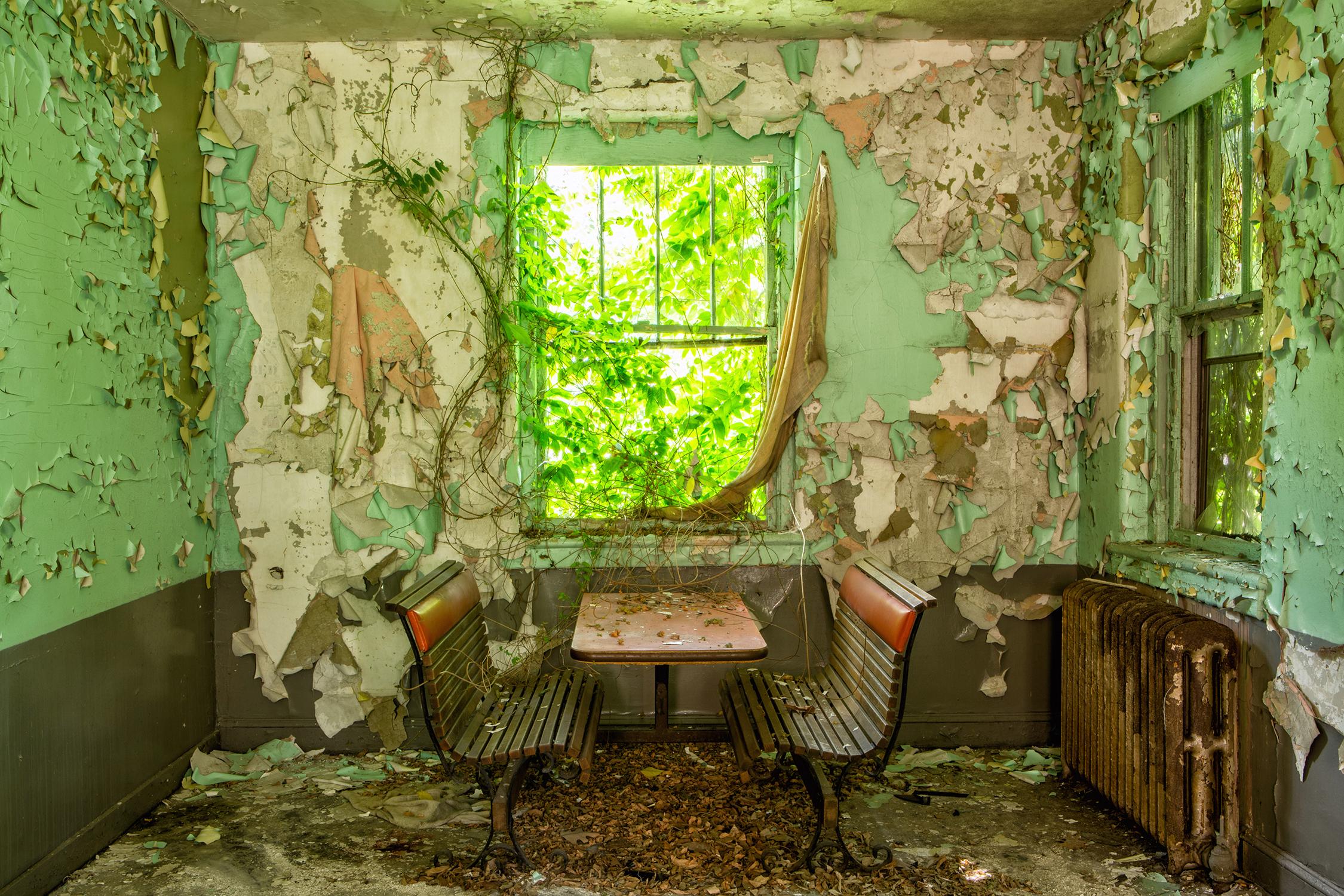 Rebecca Skinner Color Photograph - "Inward", interior, abandoned, nature, peeling paint, window, green, photograph